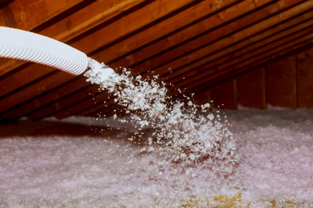 Best DIY Insulation Kits and Guidance in Castle Shannon, PA
