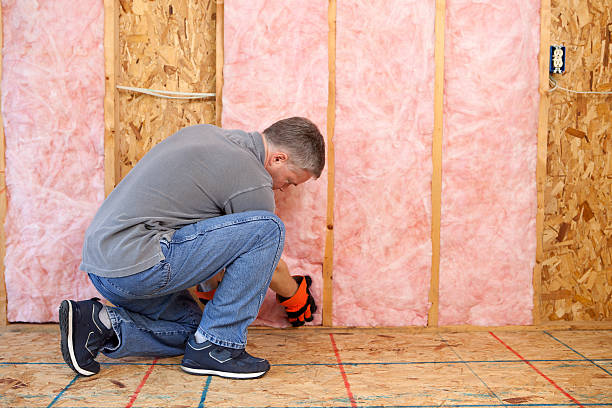 Best Cellulose Insulation in Castle Shannon, PA