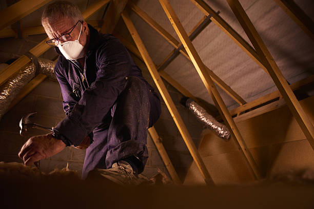 Best Eco-Friendly Insulation in Castle Shannon, PA